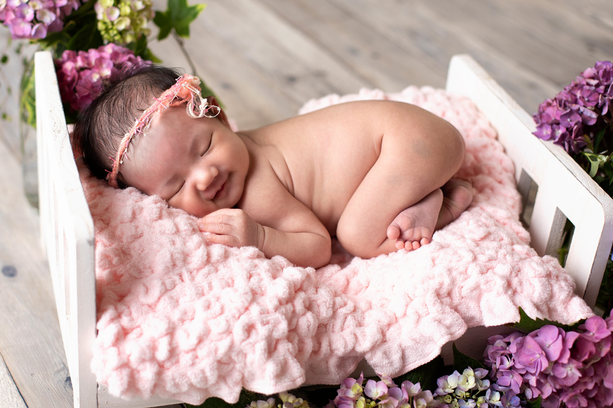 [制作実績]Le petit nuage photo studio